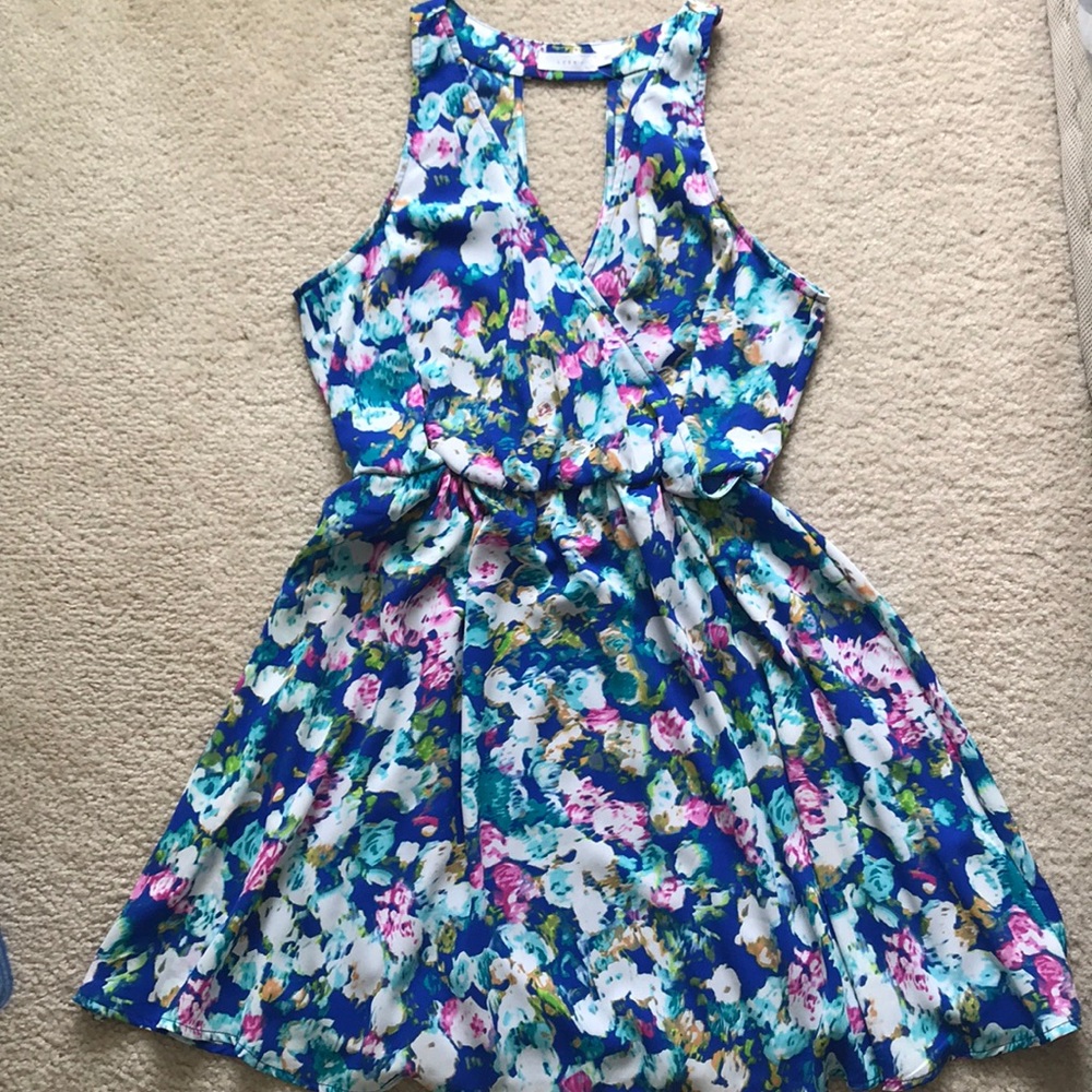 Lush Floral Print Skater Dress